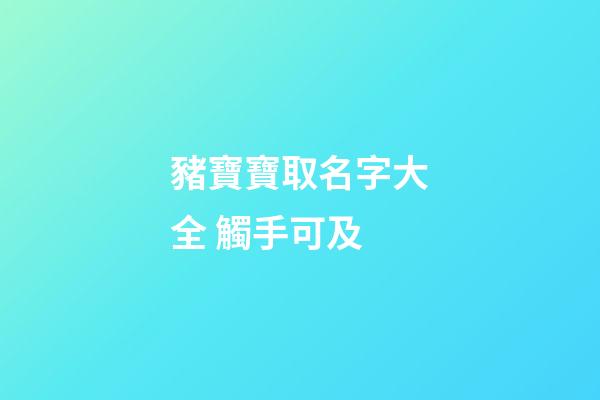 豬寶寶取名字大全 觸手可及